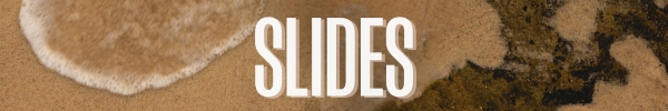 Slides