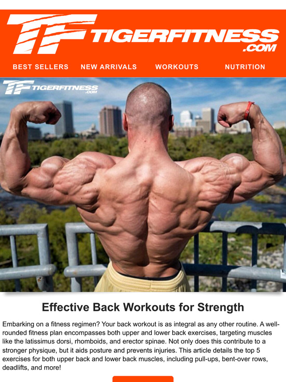 Looking for an Effective Back Workout?
