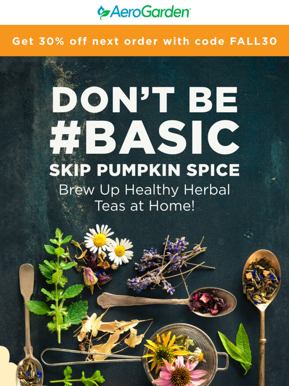 Don’t Be #Basic | Skip Pumpkin Spice ☕️🍁🎃