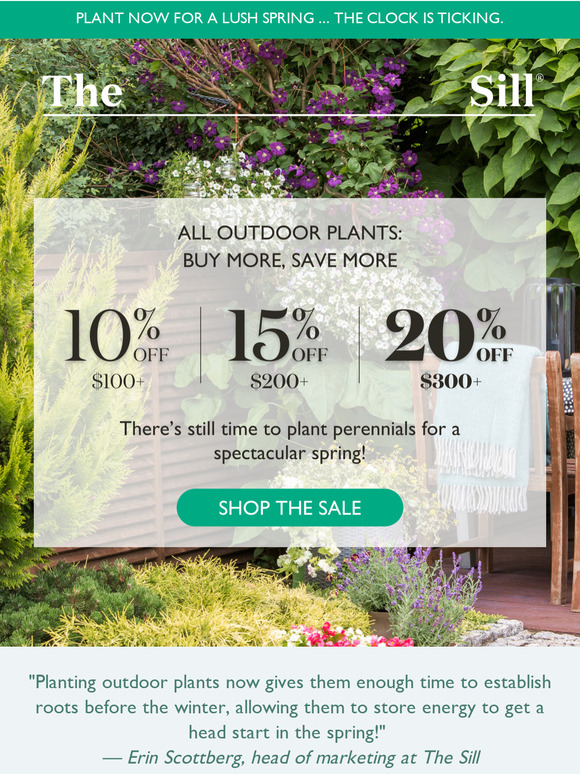 ON SALE! Plant These Now for a LUSH Spring!