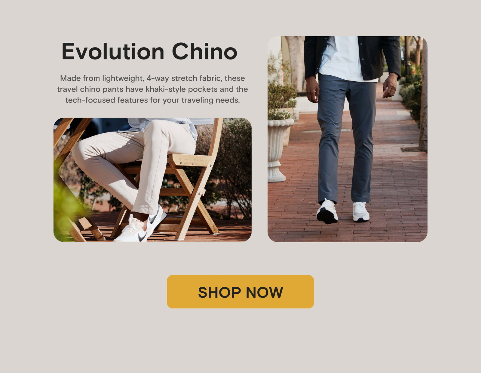 Evolution Chino