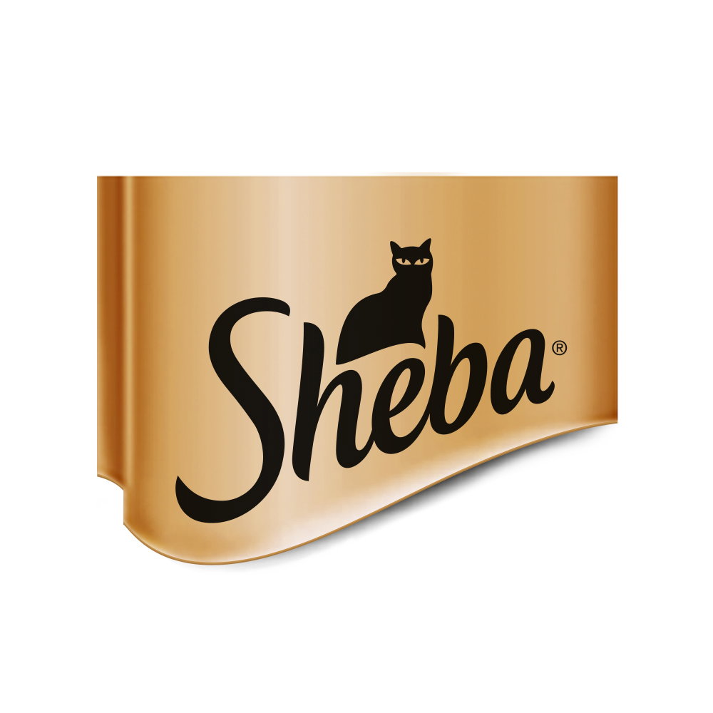 Sheba