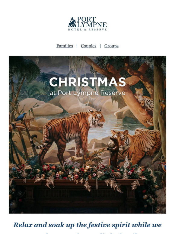 Supporter, time to book your Christmas safari staycation 🦒🎅