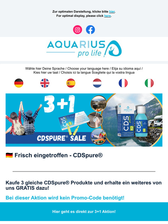 Nur noch bis morgen | Only until tomorrow - 3+1 CDSpure Sale