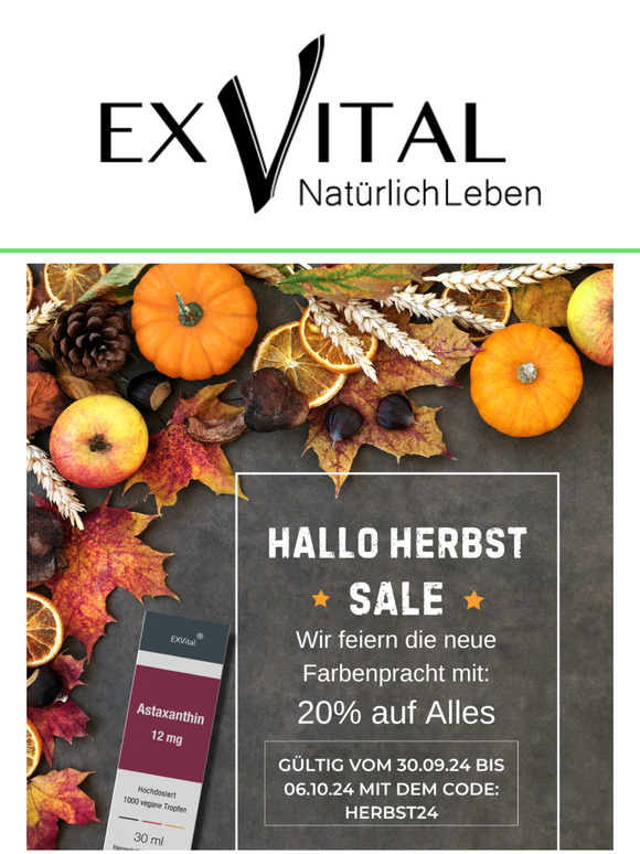 🍂 20% Rabatt - HALLO HERBST SALE