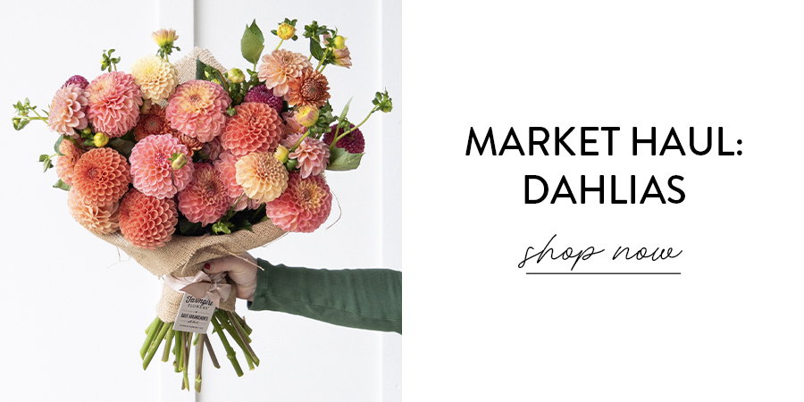 SHOP MARKET HAUL: DAHLIAS