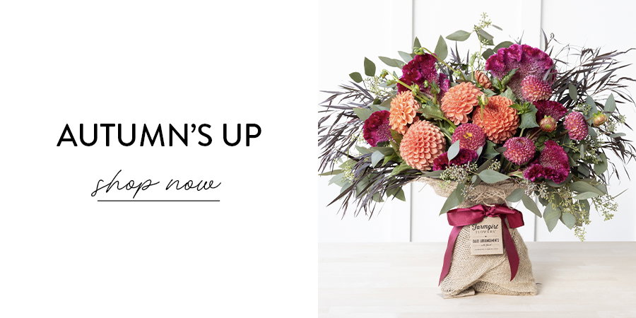 SHOP AUTUMN'S UP