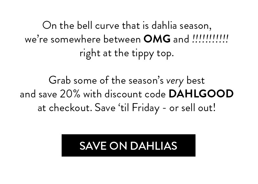 SAVE ON DAHLIAS