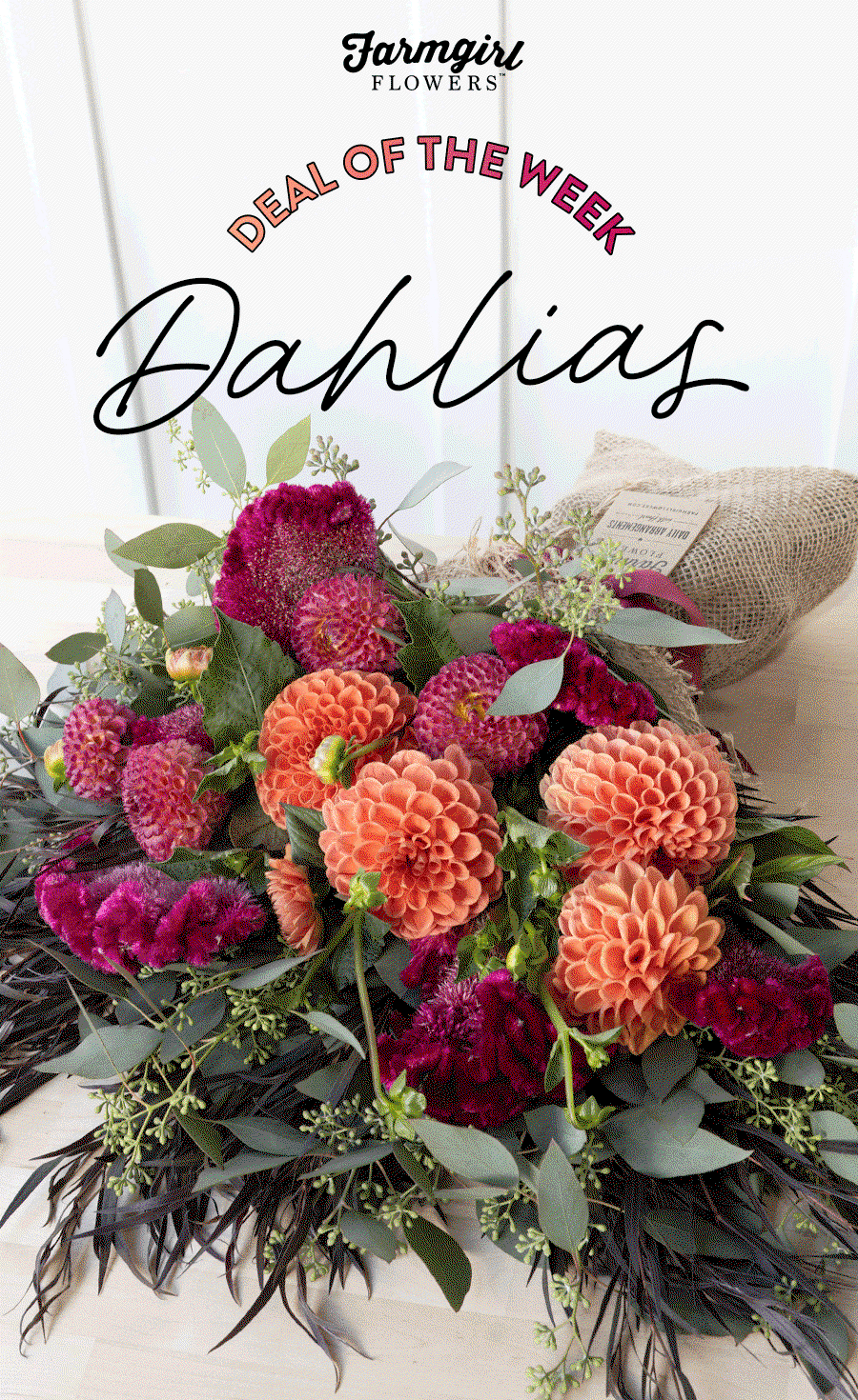 Deal Of The Week: Dahlias