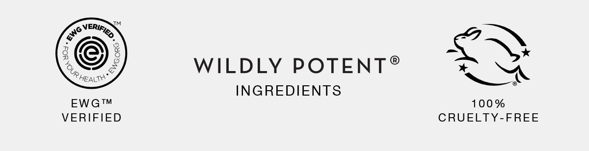 WILDY POTENT INGREDIENTS
