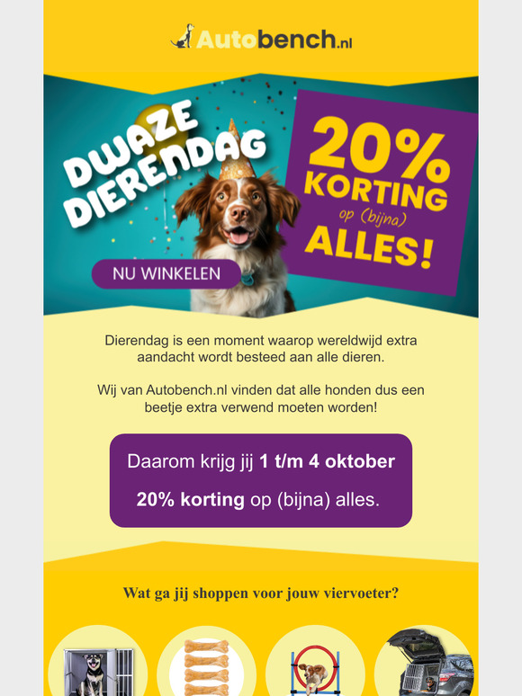 Dwaze Dierendag 🐶🥳