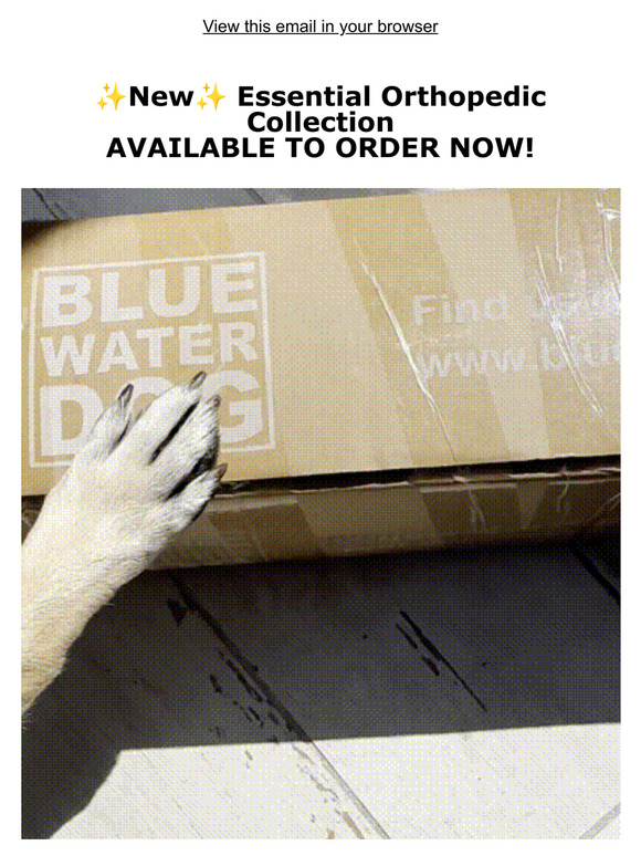 You asked, we listened! Essential Line Available NOW!