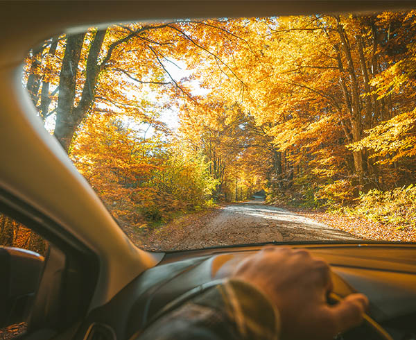 Herfst flitsaanbieding: Bespaar tot 15% wereldwijd
