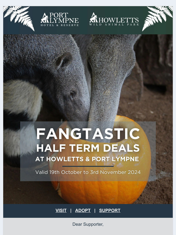 Supporter, scarily good half term deals! 👻🦒🐘
