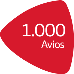 1000 avios