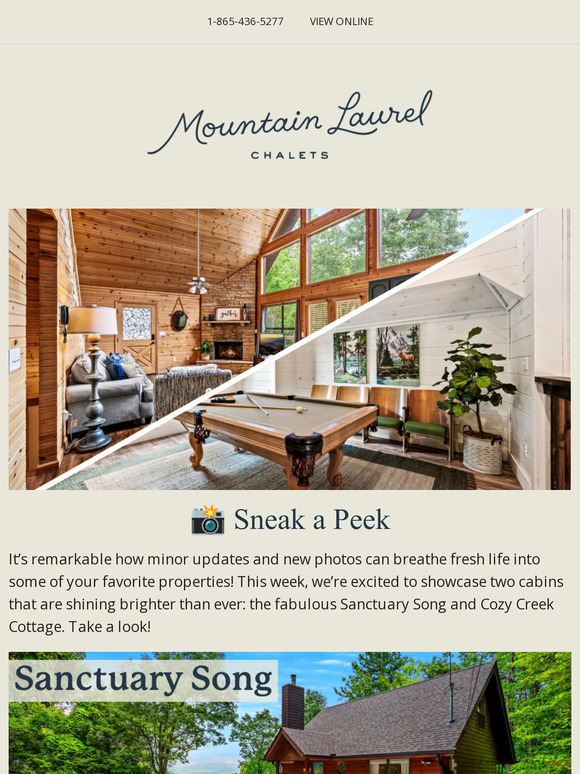 Mountain Laurel Moments: Your Weekly Update from the Smokies
