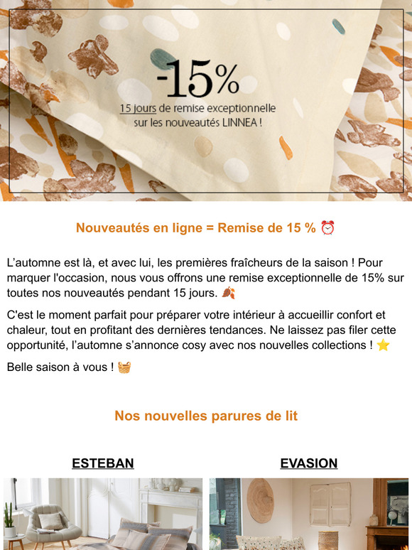 15 % de remise exceptionnelle ! 🍂