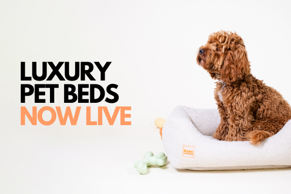 Barc London Luxury Pet Beds Now Live