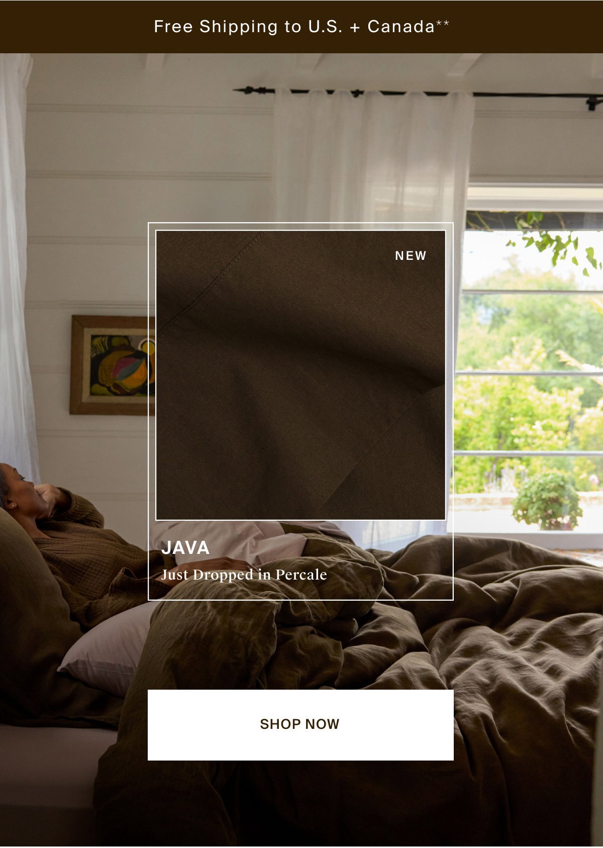 Shop Java in Percale bedding