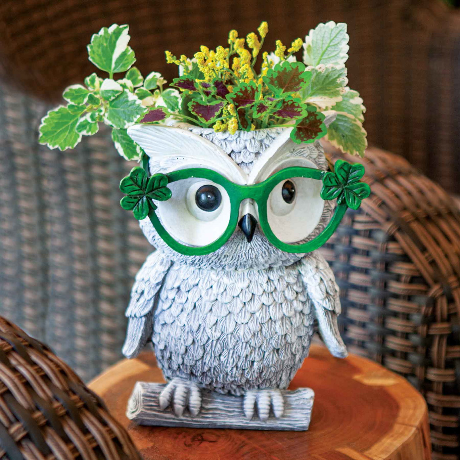 Image of Owl with Shamrock Glasses Planter