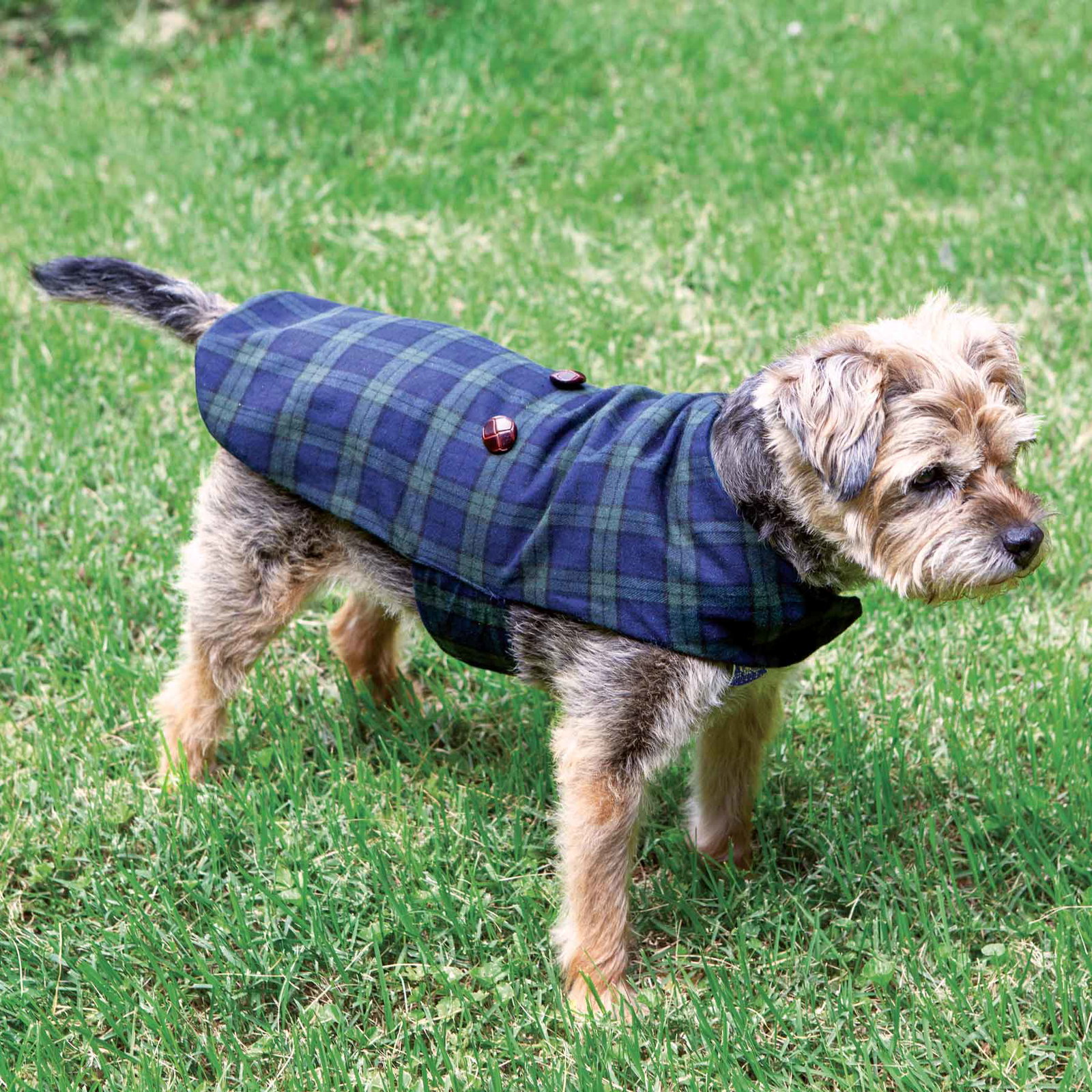 Image of Dog Grandfather Shirt
