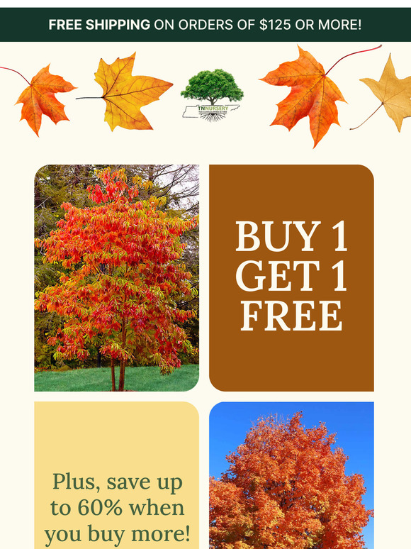 Tn Nursery: Pre-Order Now: BOGO Trees & Shrubs! | Milled