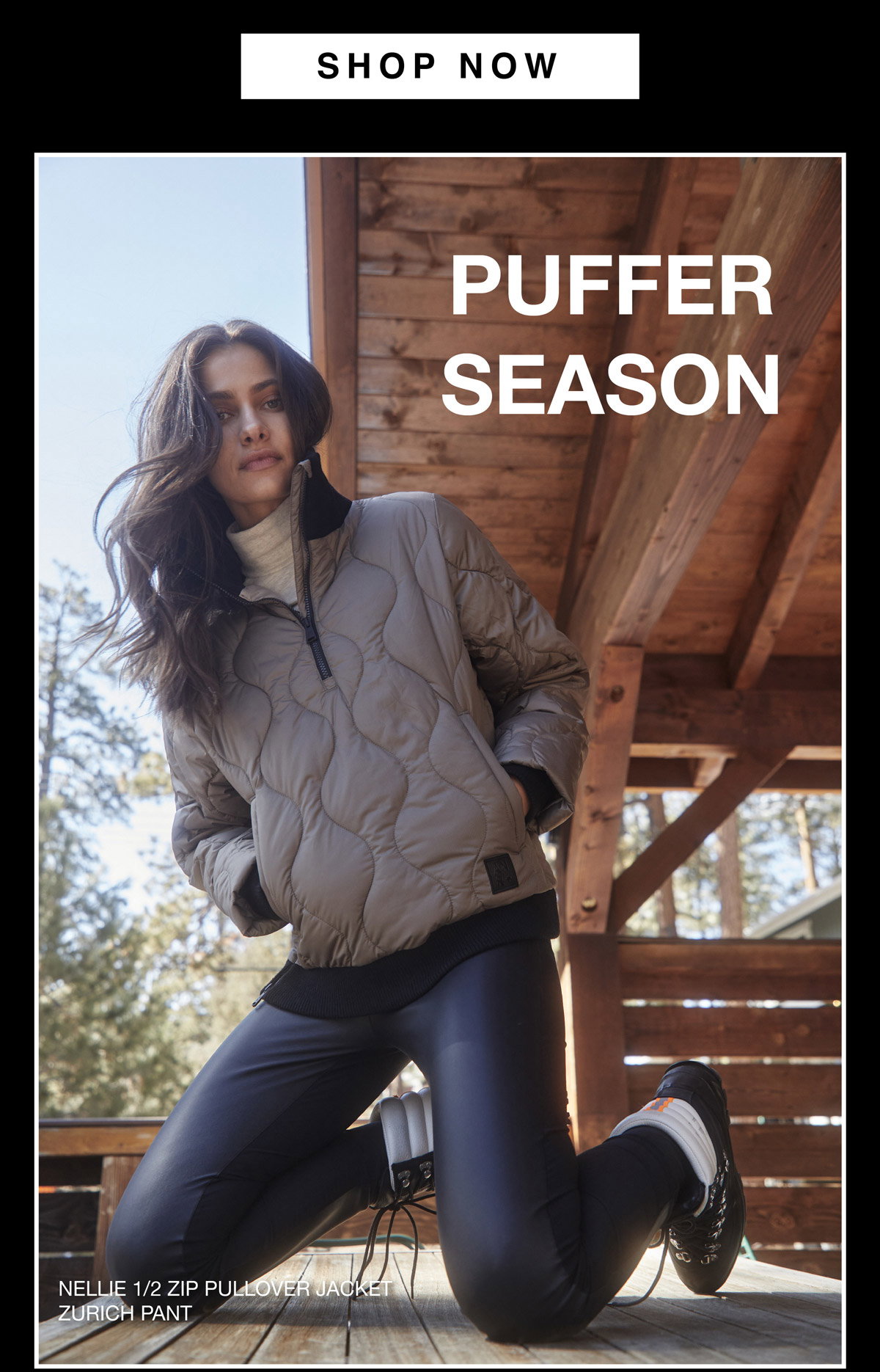 Shop Now 