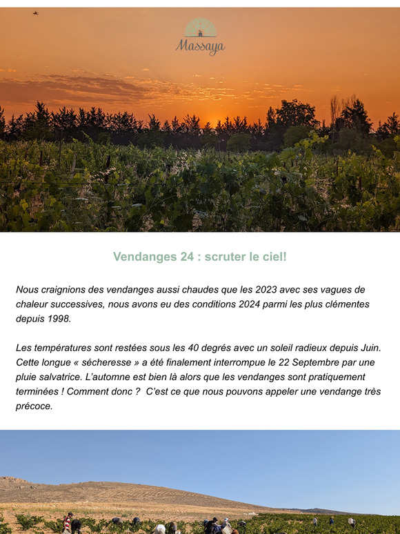 Vendanges 24 : scruter le ciel!