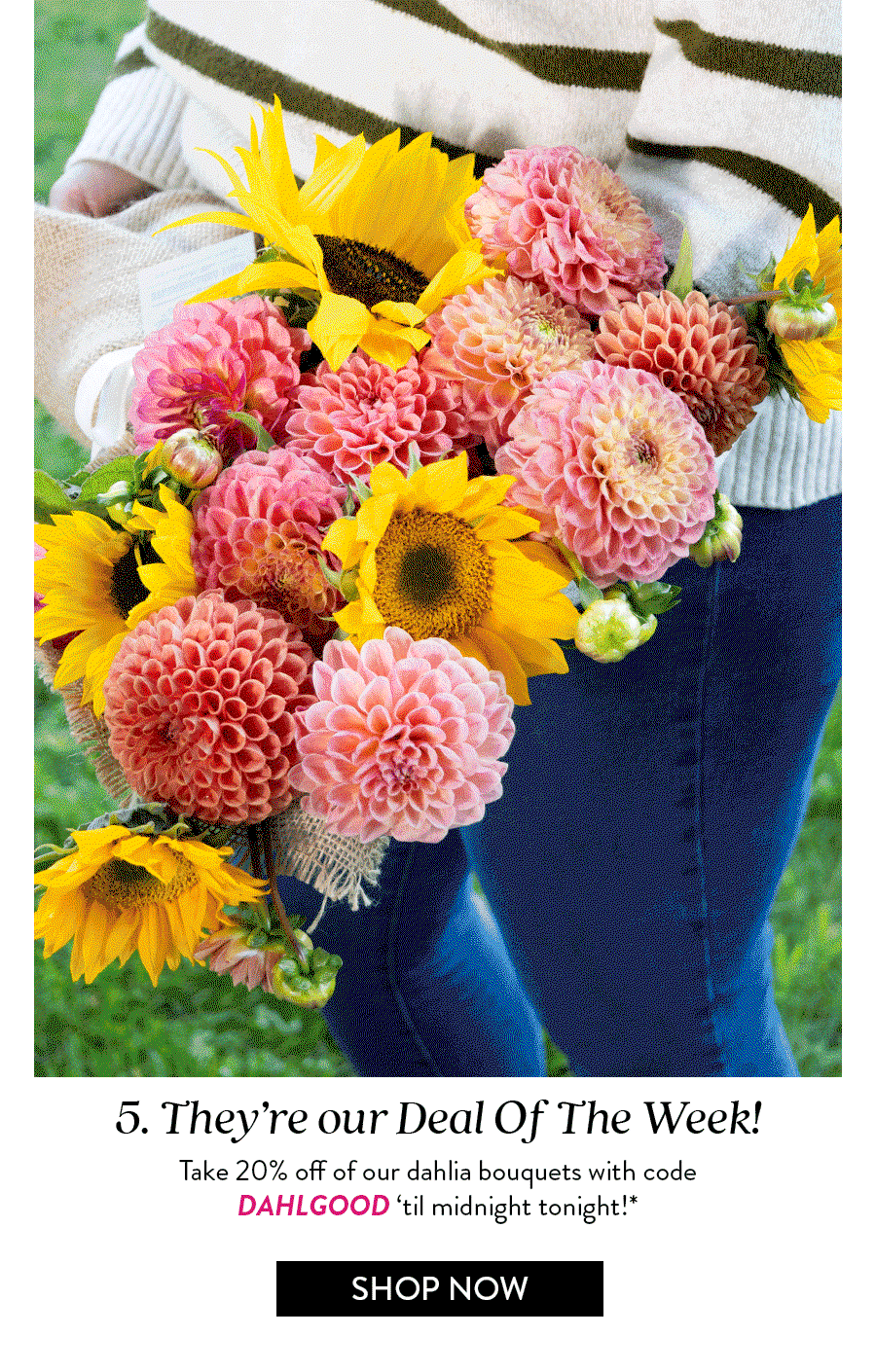 They're our Deal Of The Week! | Take 20% off of our dahlia bouquets with code DAHLGOOD ‘til midnight tonight!*