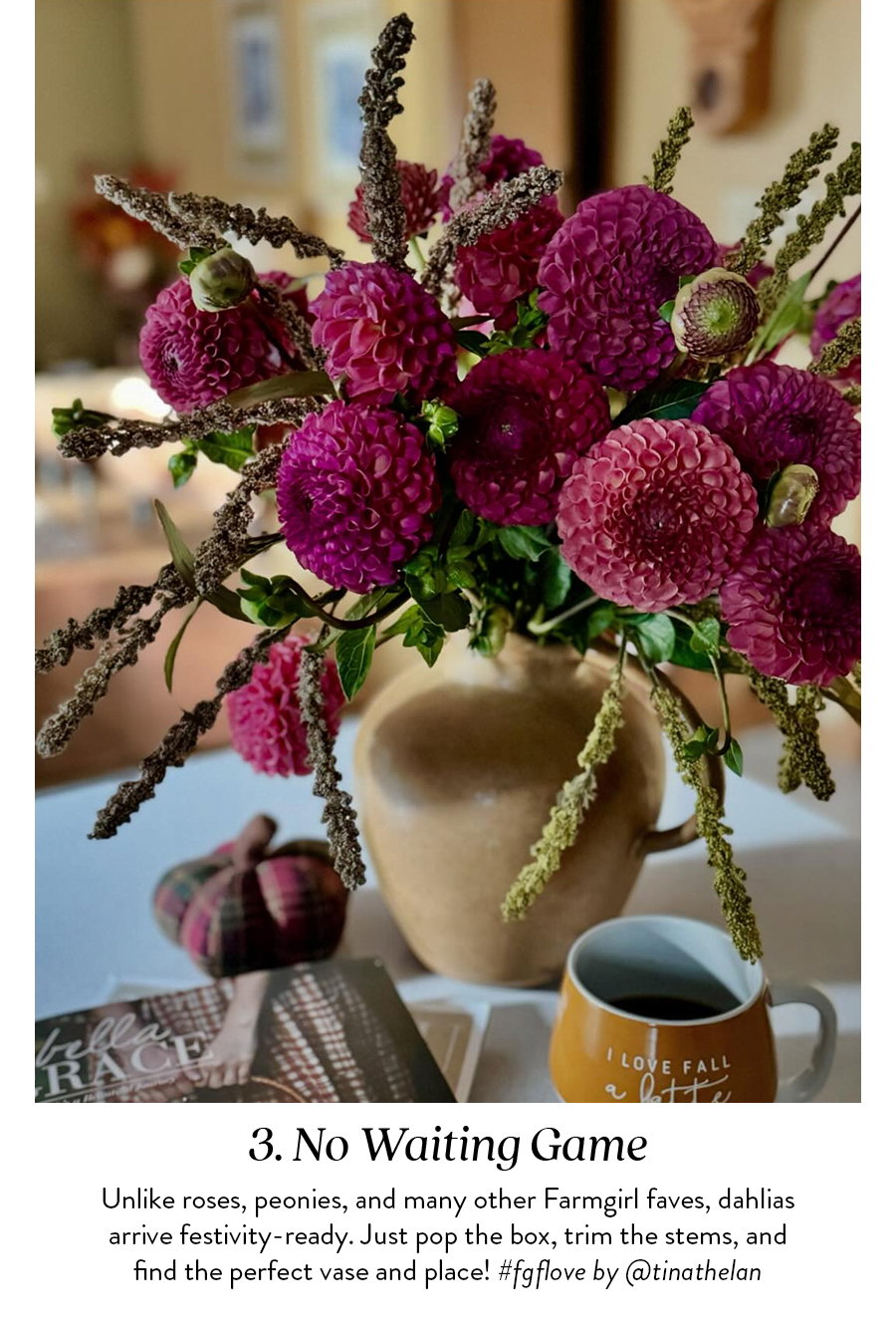 No Waiting Game | Unlike roses, peonies, and many other Farmgirl faves, dahlias arrive festivity-ready. Just pop the box, trim the stems, and find the perfect vase and place! #fgflove by @tinathelan