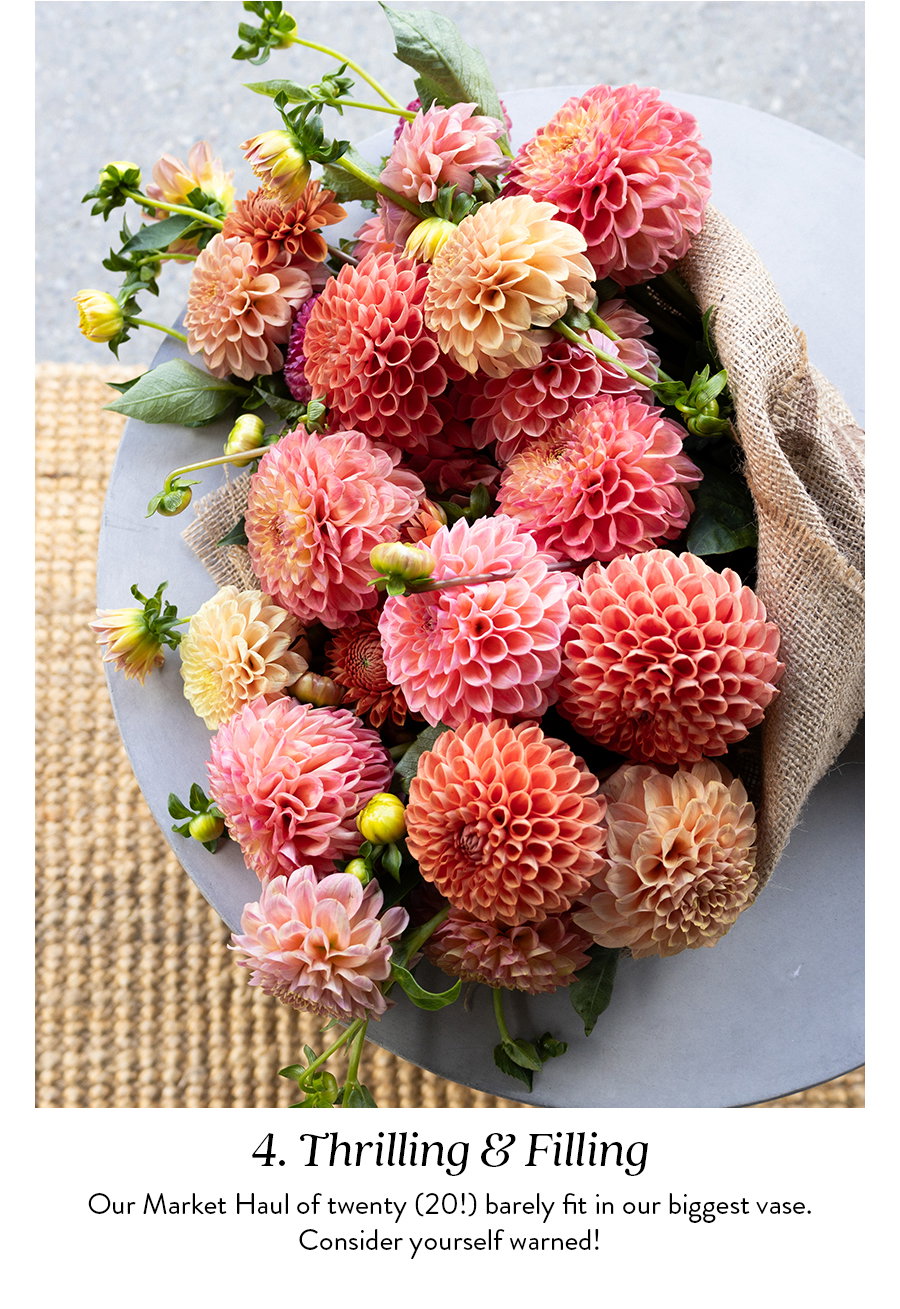 Thrilling & Filling | Our Market Haul of twenty (20!) barely fit in our biggest vase. Consider yourself warned! 