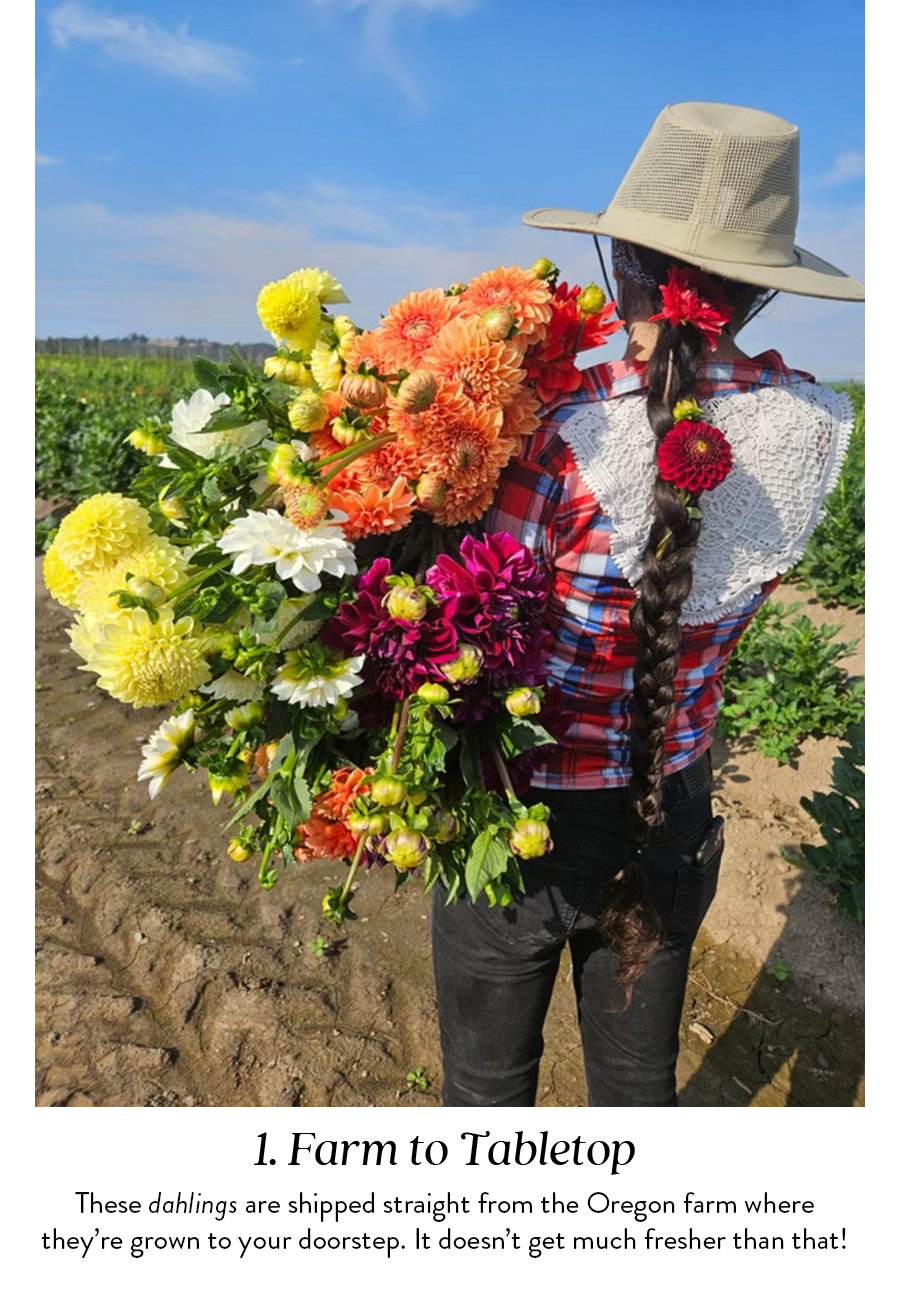 Farm to Tabletop | These dahlings are shipped straight from the Oregon farm where they’re grown to your doorstep. It doesn’t get much fresher than that!