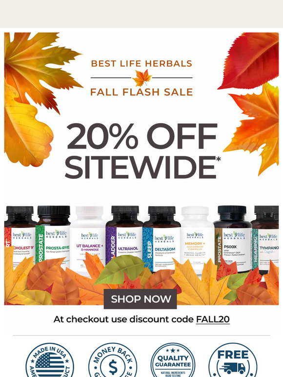FALL SALE - 20% off Sitewide -Starts Today