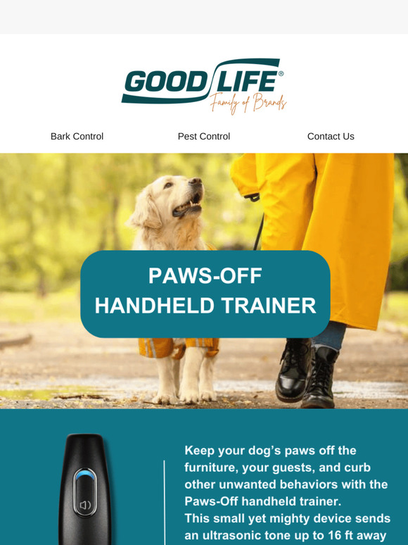 Train Your Dog to Behave Today!