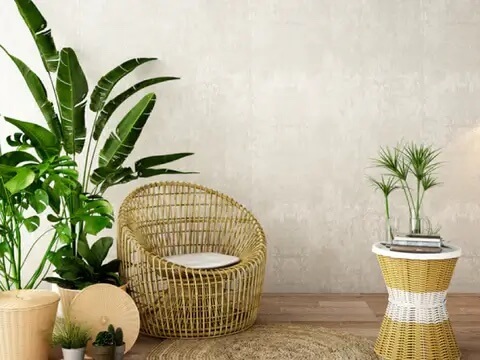 decorate with indoor plants