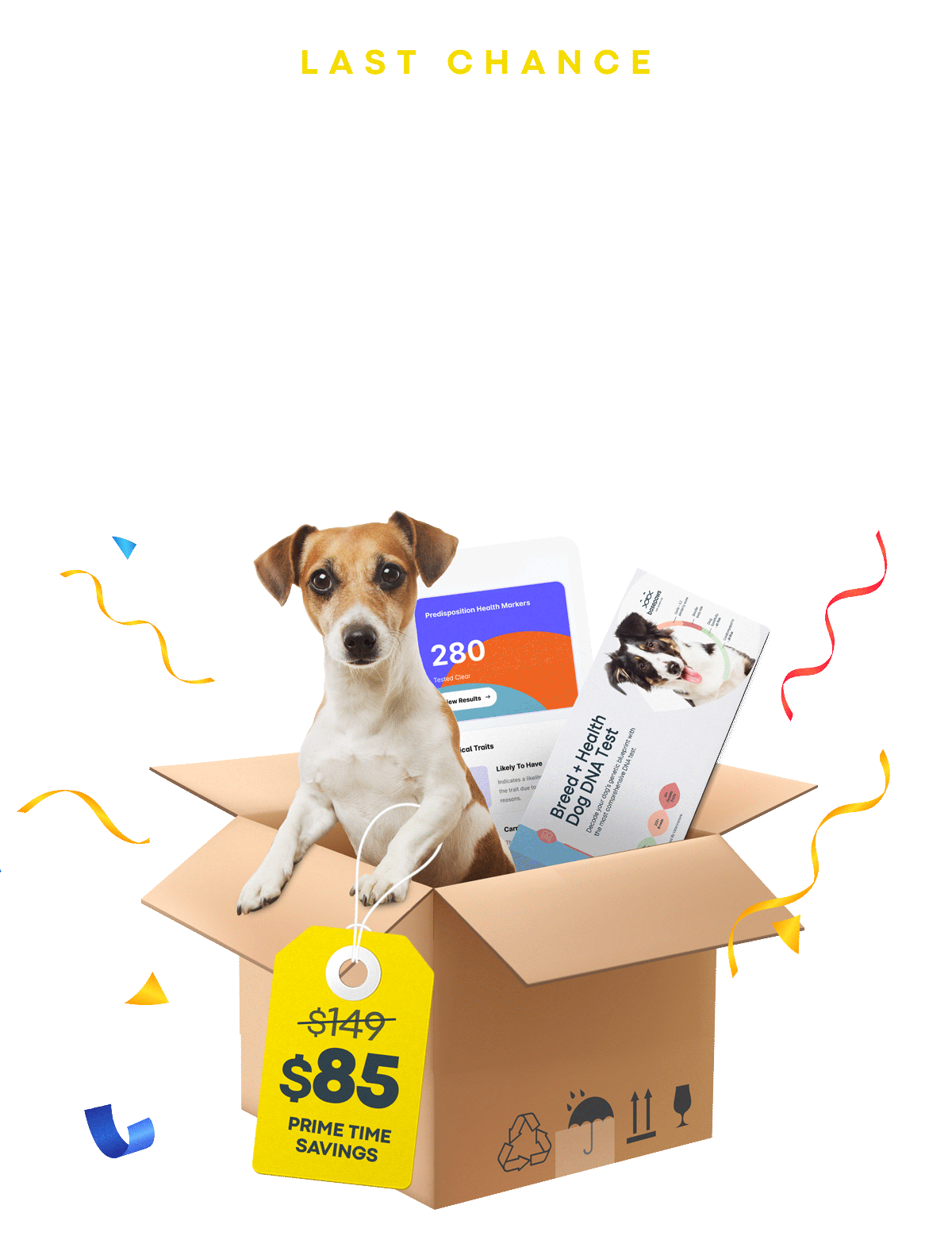Last Chance $85 Pet DNA Tests