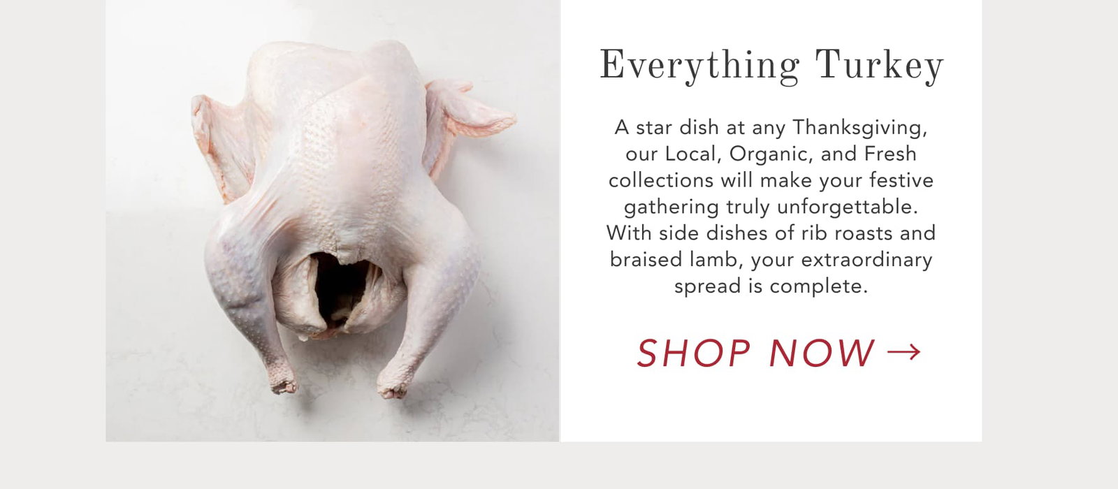 Everything Turkey
