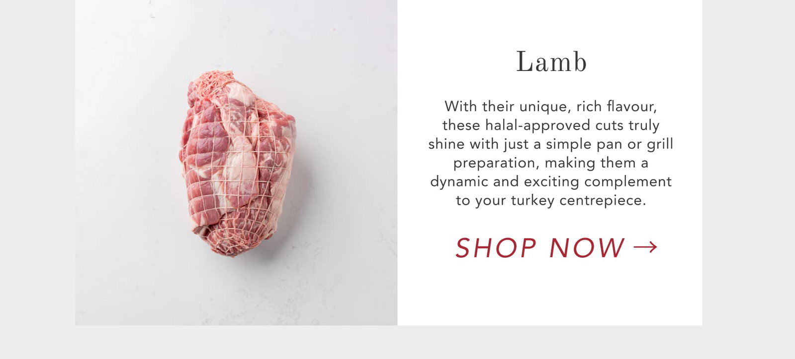 Lamb