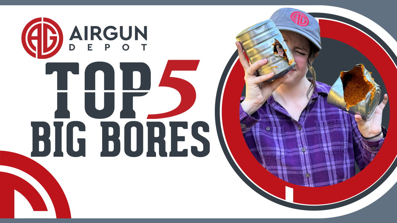 Youtube Thumbnail for Top 5 Big Bores