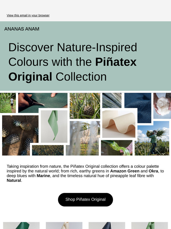 Explore Piñatex With Nature-Inspired Colours 🌏
