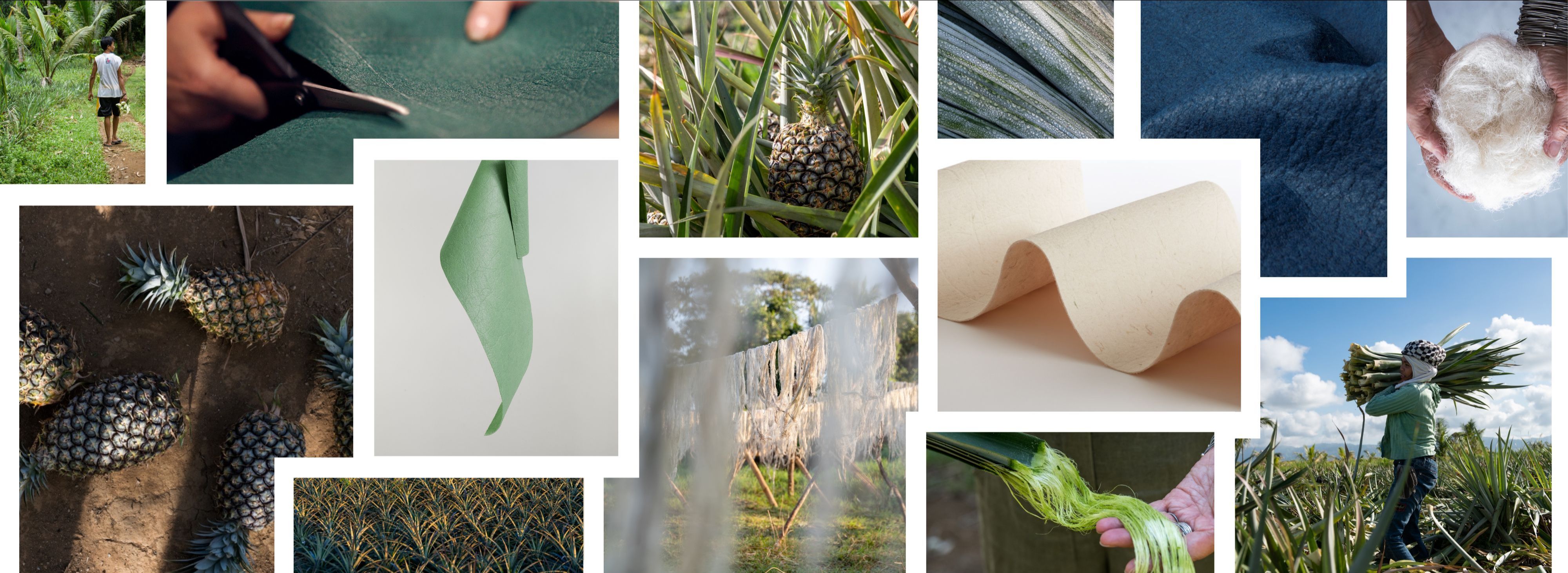 Piñatex: Explore Piñatex With Nature-Inspired Colours 🌏 | Milled