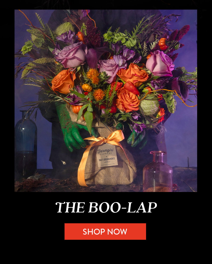SHOP THE BOO-LAP