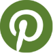 Pinterest Icon