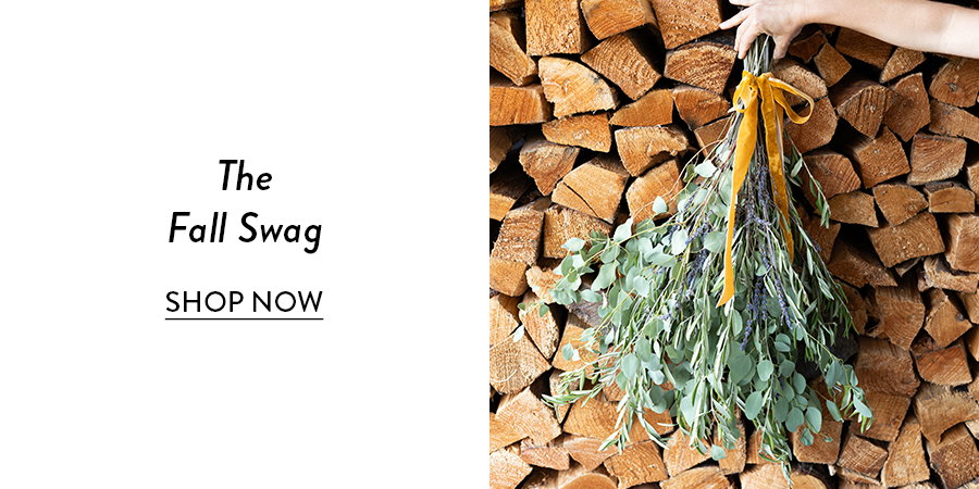 SHOP THE FALL SWAG