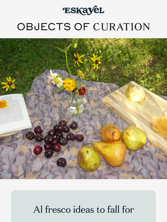 Objects of Curation | Picnic in the park