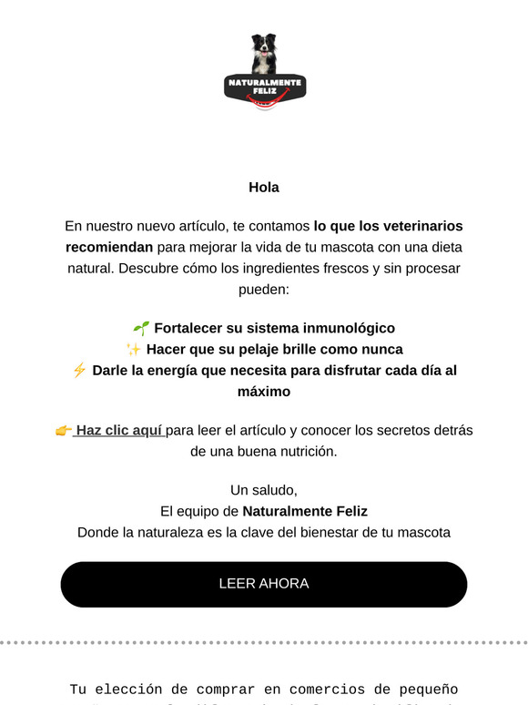 Mejora la salud de tu mascota con lo que los veterinarios recomiendan