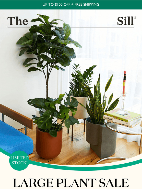 Up to $100 OFF Large Plants!