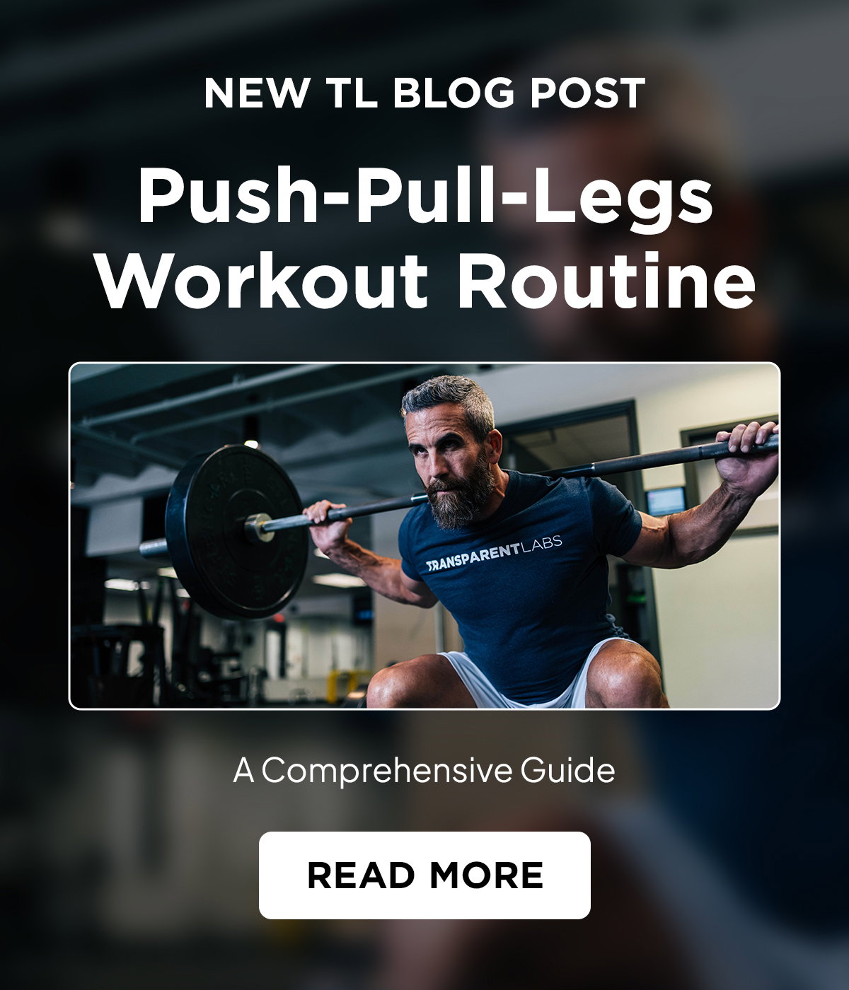 Ppl Routien Transparent Labs: NEW: Your Free Push-Pull-Legs Workout Routine | Milled