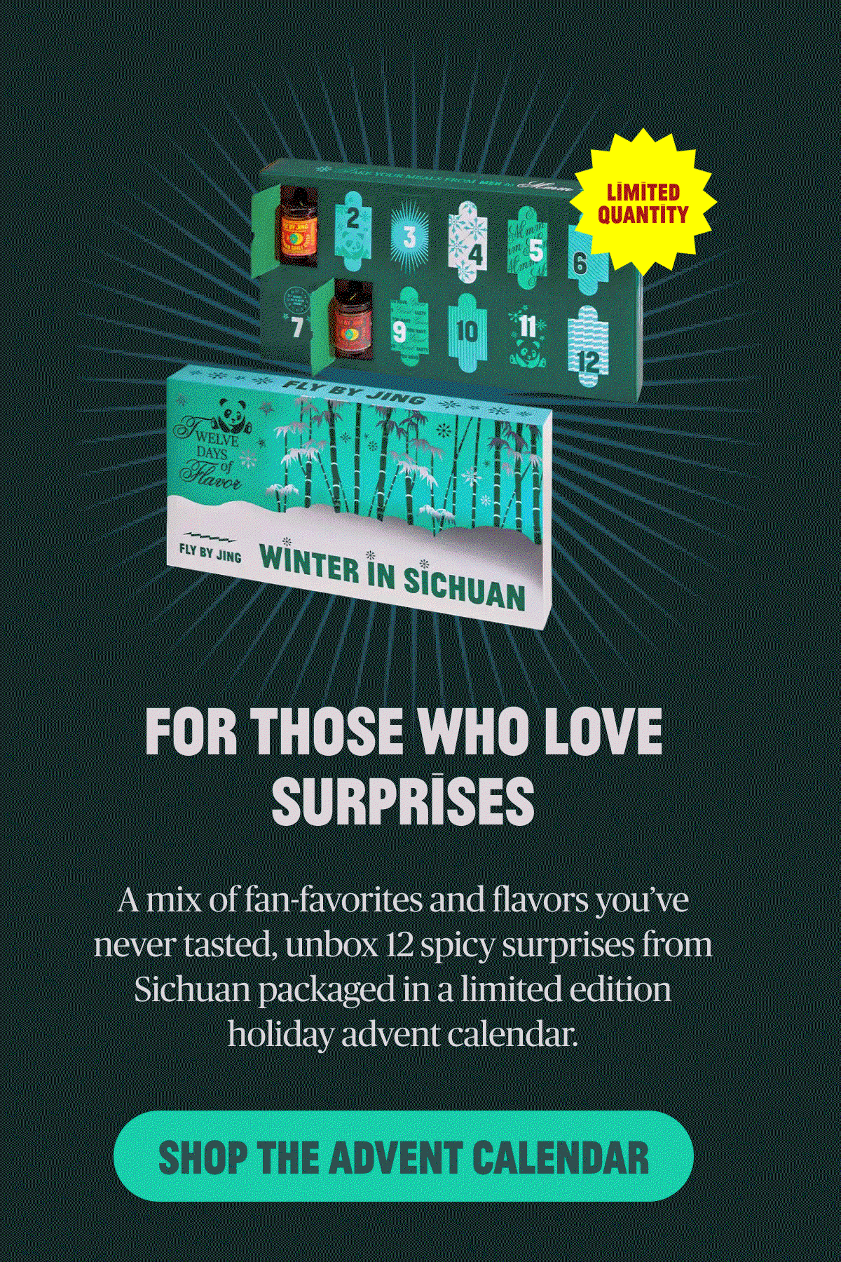 FOR THOSE WHO LOVE SURPRISES [SHOP THE ADVENT CALENDAR