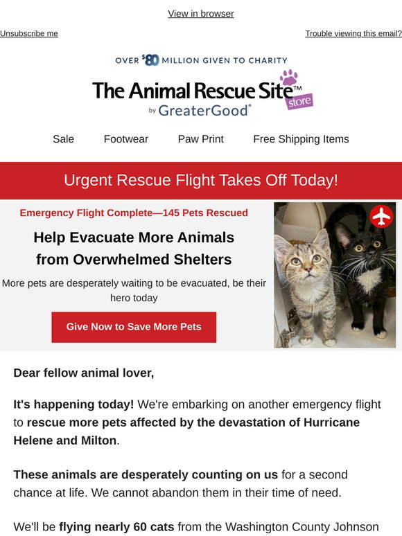 The Animal Rescue Site: Urgent Rescue Flight Takes Off Today ️ | Milled